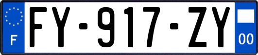 FY-917-ZY