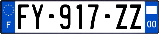 FY-917-ZZ