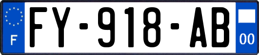 FY-918-AB