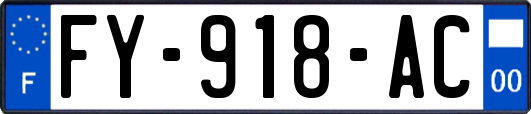 FY-918-AC