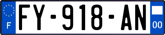 FY-918-AN
