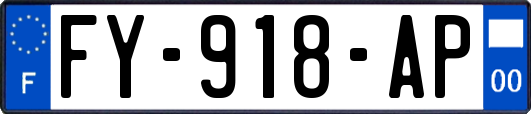 FY-918-AP