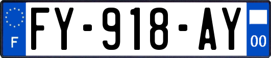 FY-918-AY