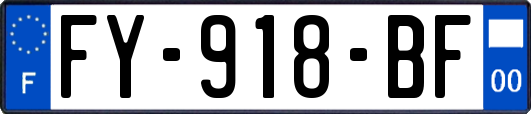 FY-918-BF