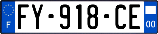 FY-918-CE