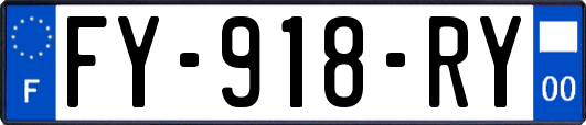 FY-918-RY