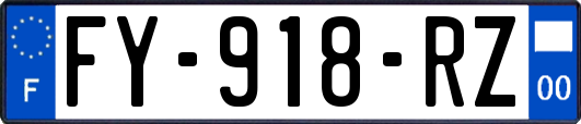 FY-918-RZ