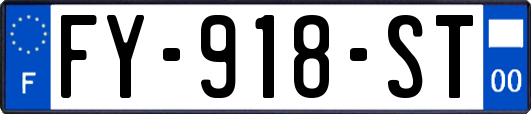 FY-918-ST