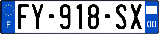 FY-918-SX