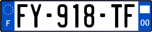 FY-918-TF
