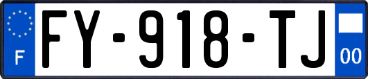 FY-918-TJ