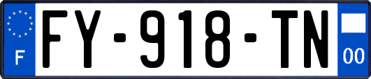 FY-918-TN