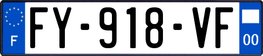 FY-918-VF