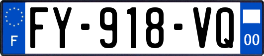 FY-918-VQ