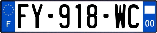 FY-918-WC
