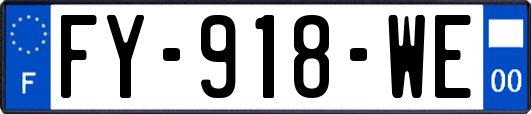 FY-918-WE