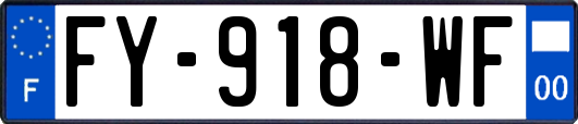 FY-918-WF