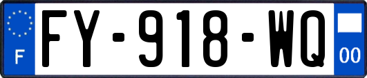 FY-918-WQ