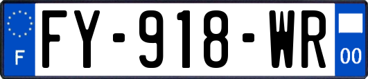 FY-918-WR