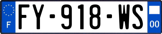 FY-918-WS