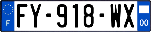 FY-918-WX