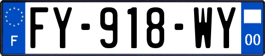 FY-918-WY