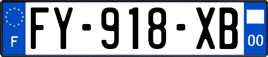 FY-918-XB