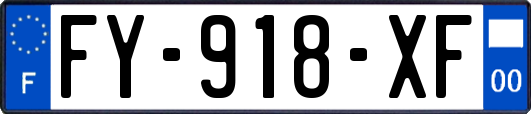 FY-918-XF