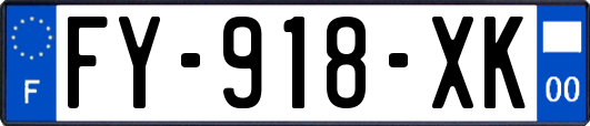 FY-918-XK