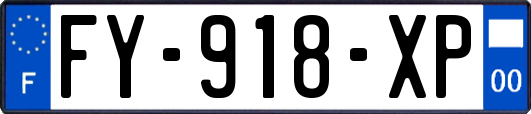 FY-918-XP