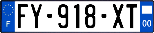 FY-918-XT