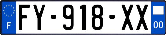 FY-918-XX