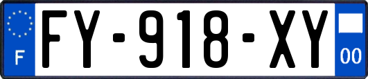 FY-918-XY