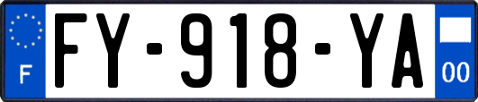 FY-918-YA