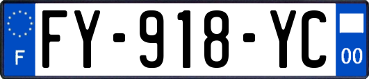 FY-918-YC