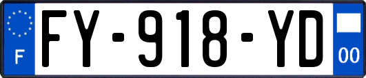FY-918-YD
