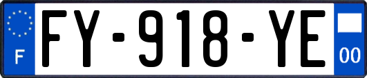 FY-918-YE