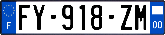 FY-918-ZM