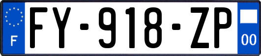 FY-918-ZP