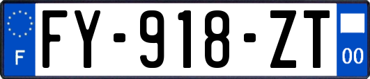 FY-918-ZT