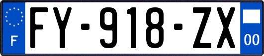 FY-918-ZX