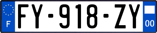 FY-918-ZY