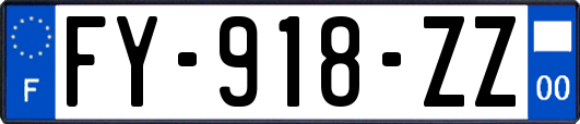 FY-918-ZZ
