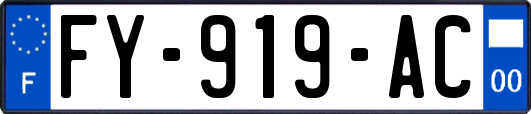 FY-919-AC