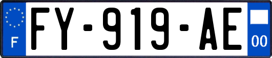 FY-919-AE