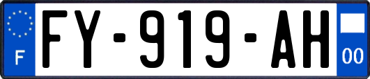 FY-919-AH