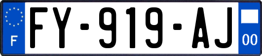 FY-919-AJ