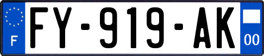 FY-919-AK