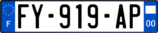 FY-919-AP