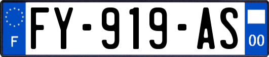 FY-919-AS